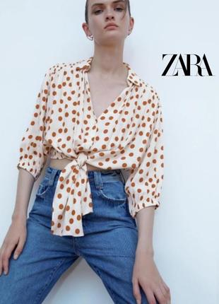 Блуза в горох от zara