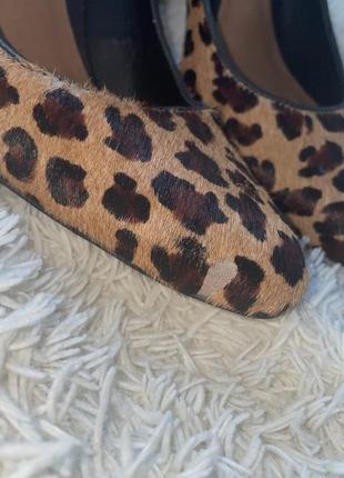 Туфлі2 фото