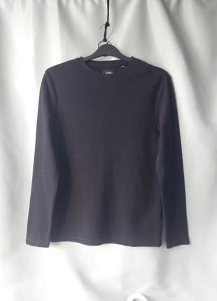 Лонгослів 100% бавовна