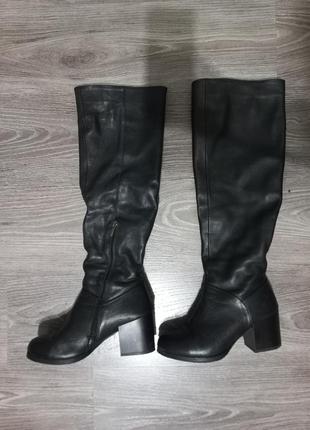 Сапоги демисезонные, еврозима