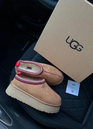 Черевики ugg tazz platform chestnut premium