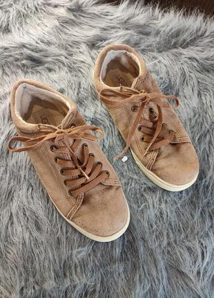 Кросівки slip-on ugg