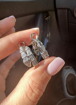 Серьги змея из стали