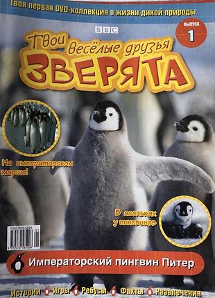 Твои веселые друзья зверята