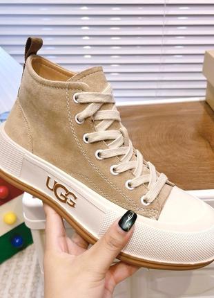 Зимние кеды ugg угг