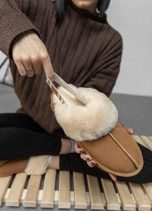 Трендовые модель угги