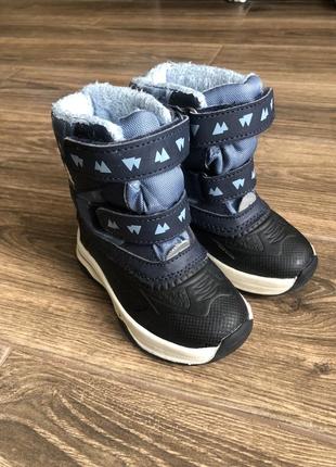 Сапоги lupilu 21р.