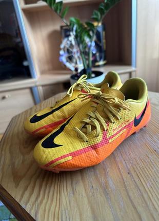 Сороконожки