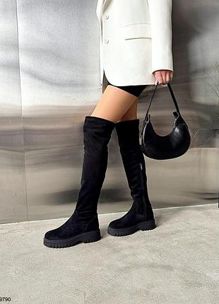 Ботфорты, черный, натуральная замша, деми/зима