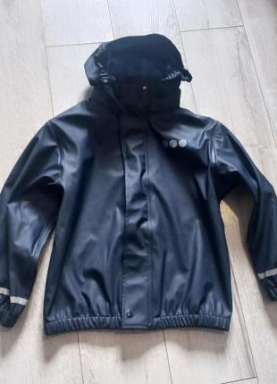 Вітровка дощовик