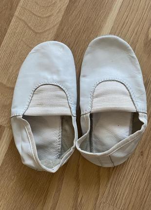 Чешки шкіряні