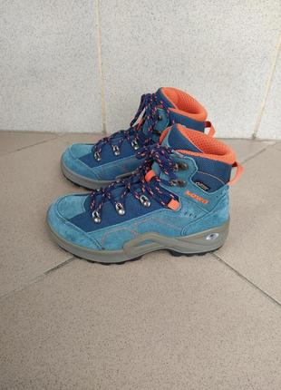 Черевики lowa.