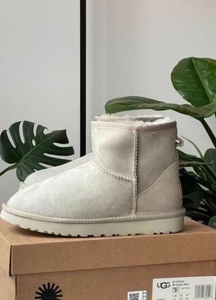 Угги угги угги ugg Uma classic mini light grey