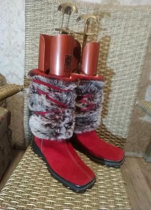 Замшевые зимние сапоги