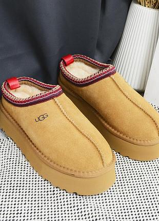 Новые ботинки с утеплением tazz ugg