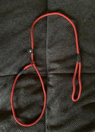 Повідок для собак