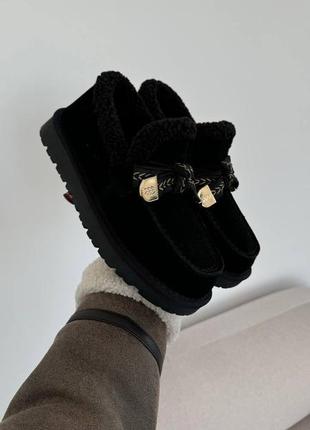 Зимові лофери