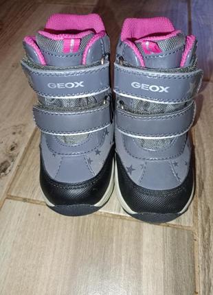 Сапожки зимние geox 22р. 3