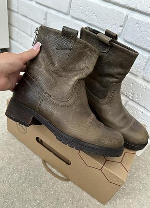 Жіночі напівчоботи шкіра cellini 38р