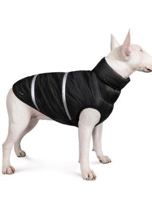 Жилет зимний для собак big boss черный и красный цвет