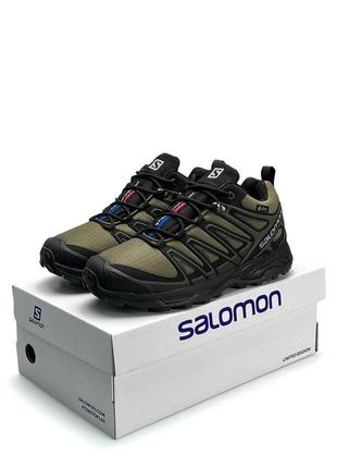 Salomon 8