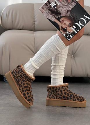 Натуральні замшеві леопардові короткі уггі на високій підошві