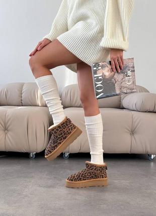 Натуральні замшеві леопардові короткі уггі на високій підошві