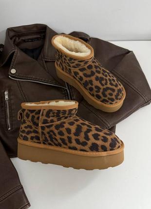 Натуральні замшеві леопардові короткі уггі на високій підошві