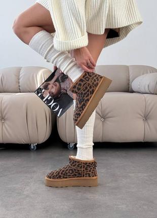 Натуральні замшеві леопардові короткі уггі на високій підошві