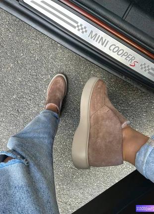 Лофери зима