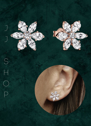 Срібні сережки pandora rose блискучий гербарій 282407c01