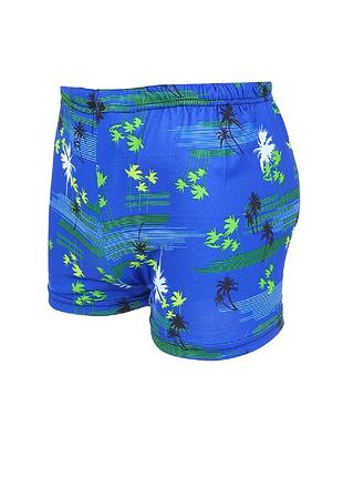 Плавки чоловічі для плавання m/l (48/50)
