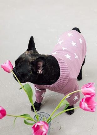 Свитер для собак и котов шерсть хлопок