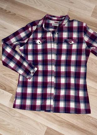 Рубашка в клетку рубашка розово синяя белая тренд 🔝