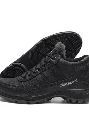 Зимові шкіряні черевики adidas climacool чорні