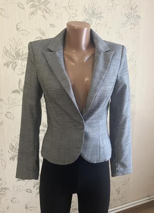 Піджак сірий колір