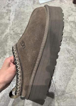 Ugg tazz hickory