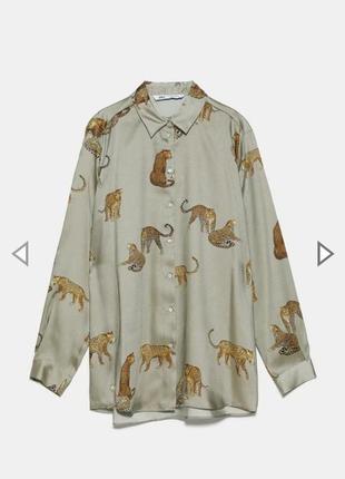 Блуза zara в леопарды