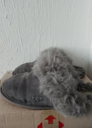 Тапочки угги ugg