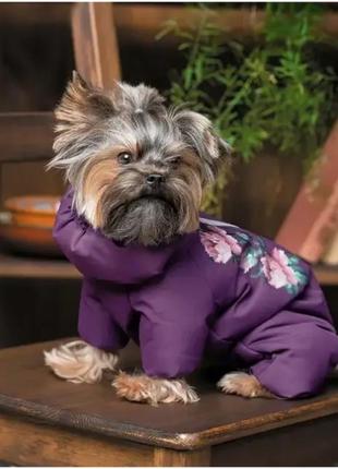 Костюм зимний для собак lola , размеры  s2, m2