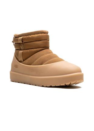 Зимние сапоги ugg зимние classic suede