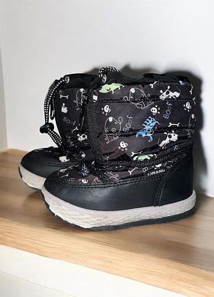 Зимние сапоги