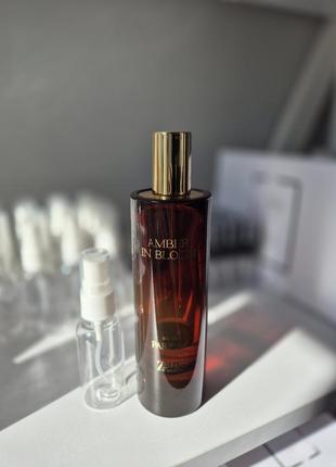 Zara amber in bloom парфуми