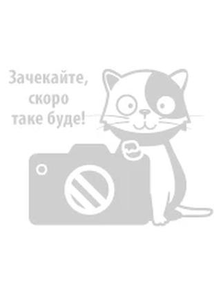 Магнітна мапа світу: тварини 200267 (8) "dodo", 36 елементів, магнітна дошка, в коробці