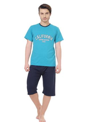 Пижама мужская шорты и футболка b2276 m