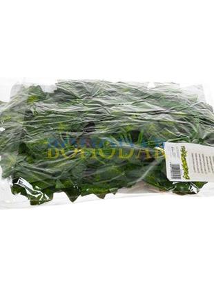 Gardlov 19733 искусственный плющ 12.6 м искусственная гирлянда искусственные цветы искусственная лоза польша!9 фото