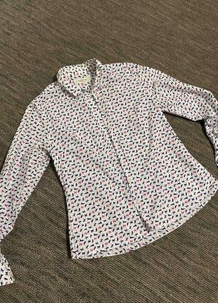 Блуза в принт коти 🐈‍⬛ от the savile row company