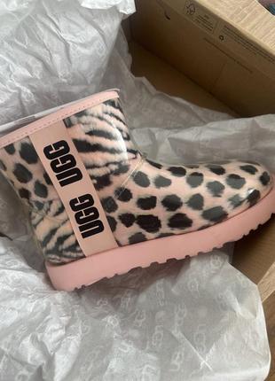 Зимове взуття ugg
