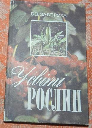 Б.в. заверуха, "у світі рослин"