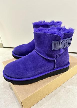 Чоботи ugg